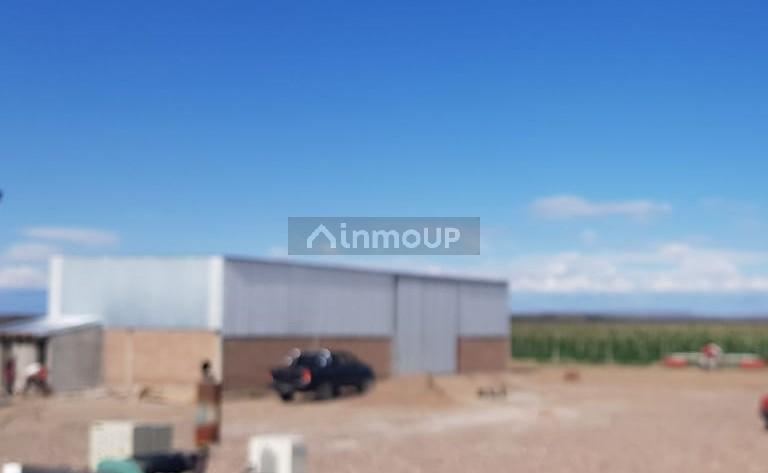 Finca en Venta en Tupungato, Mendoza