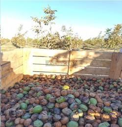 Finca en Venta en Tupungato, Mendoza