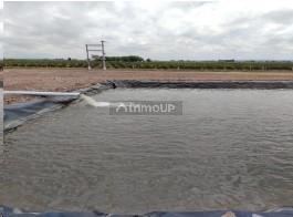 Finca en Venta en Tupungato, Mendoza