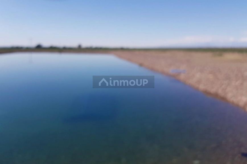 Finca en Venta en Tupungato, Mendoza