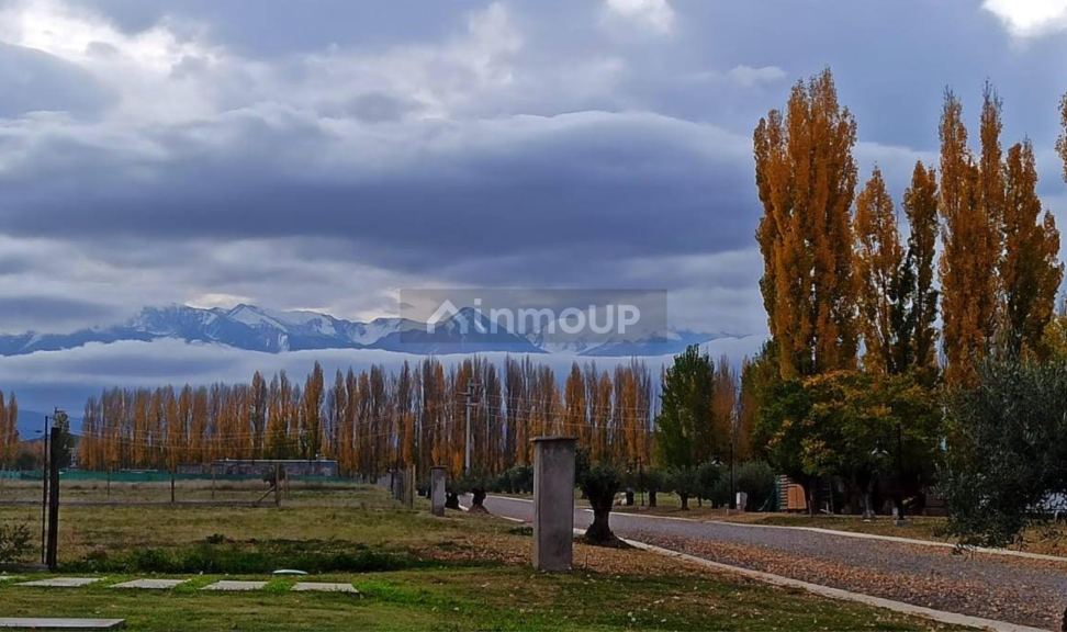 Lote en Venta en Tupungato, Mendoza