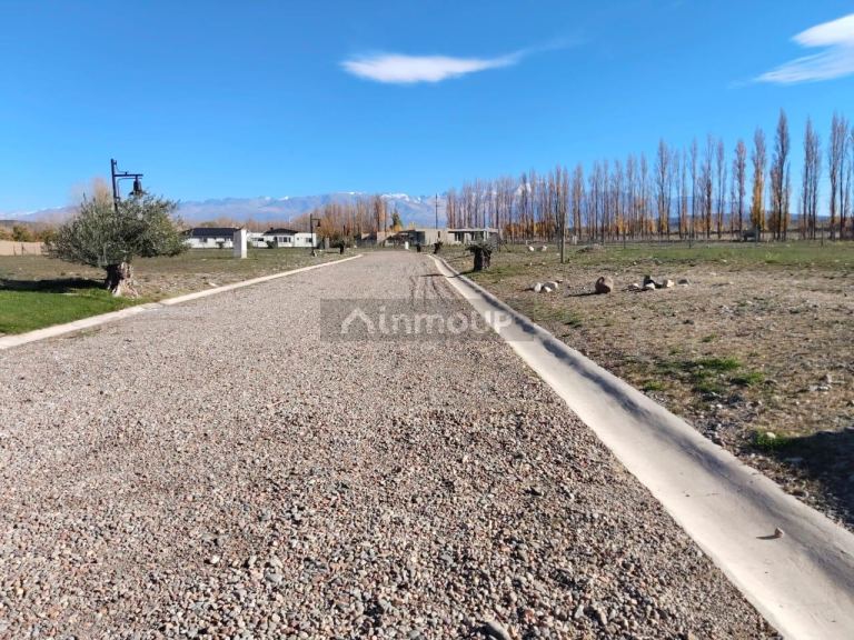 Lote en Venta en Tupungato, Mendoza
