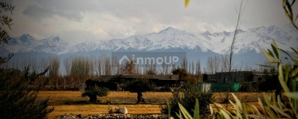 Lote en Venta en Tupungato, Mendoza