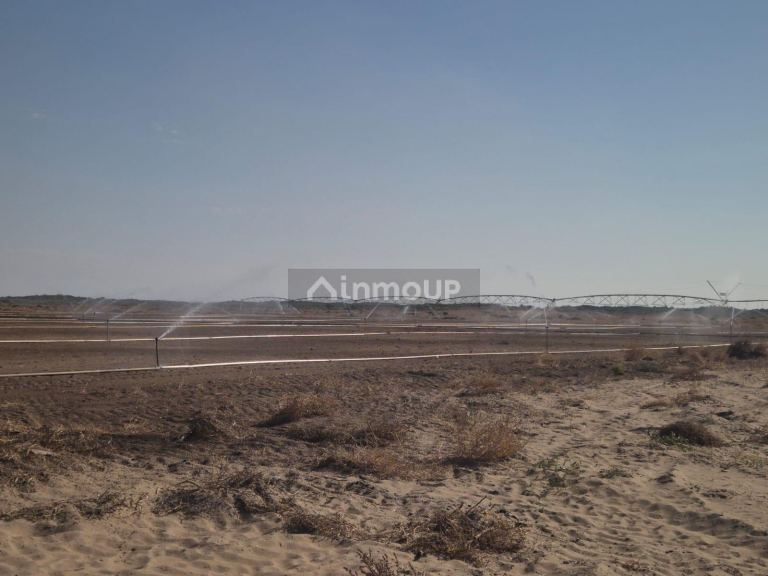 Finca en Venta en San Martin, Mendoza