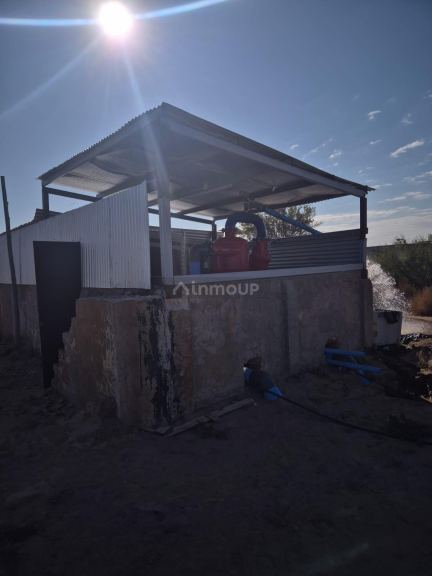Finca en Venta en San Martin, Mendoza