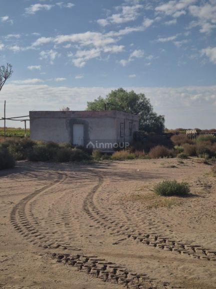 Finca en Venta en San Martin, Mendoza