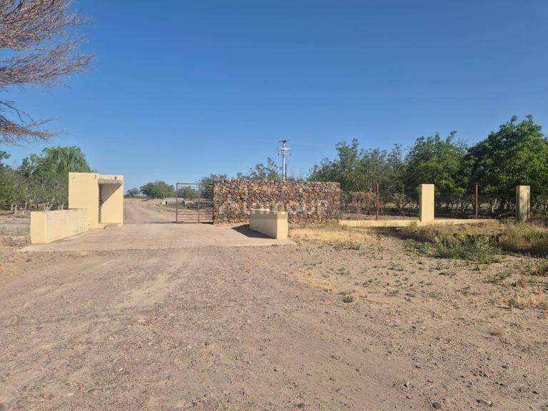 Finca en Venta en Rivadavia, Mendoza