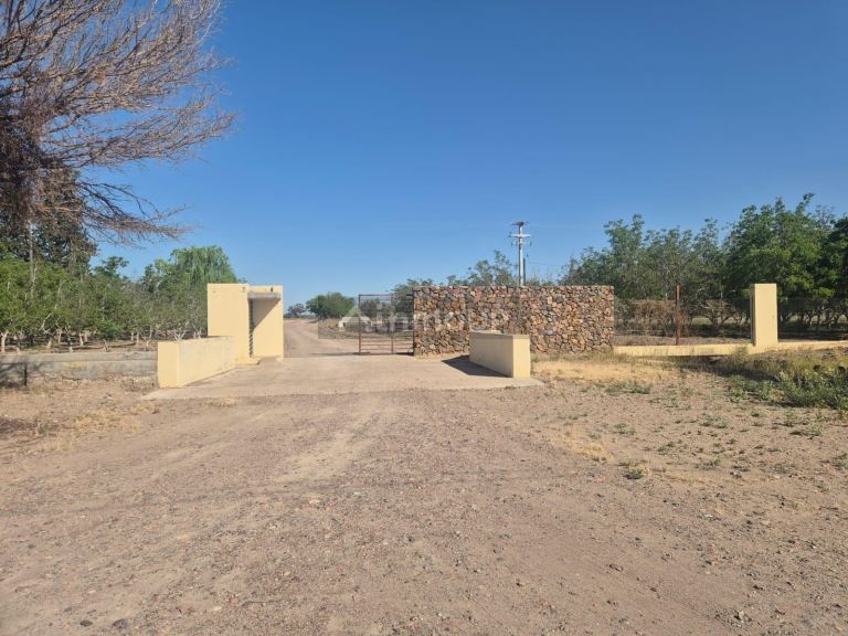 Finca en Venta en Rivadavia, Mendoza