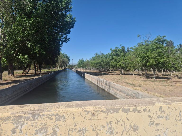 Finca en Venta en Rivadavia, Mendoza