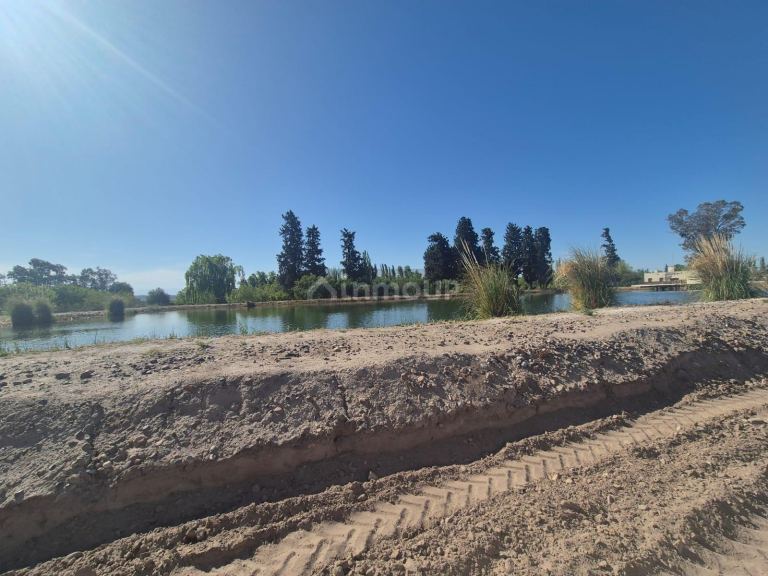Finca en Venta en Rivadavia, Mendoza
