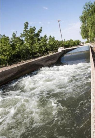 Finca en Venta en Rivadavia, Mendoza