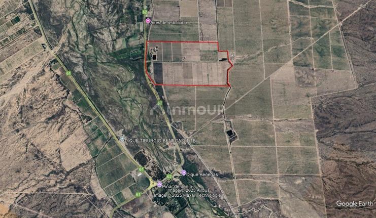 Finca en Venta en Rivadavia, Mendoza