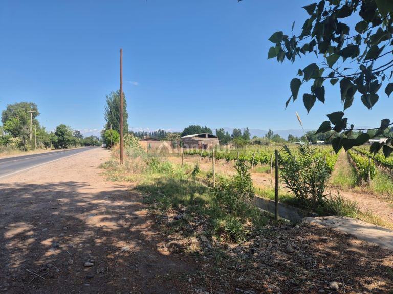 Finca en Venta en Maipu, Mendoza
