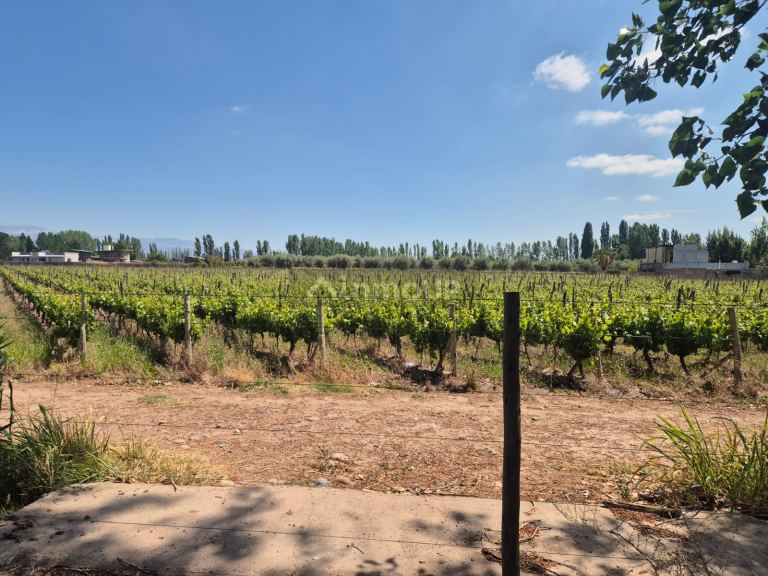 Finca en Venta en Maipu, Mendoza