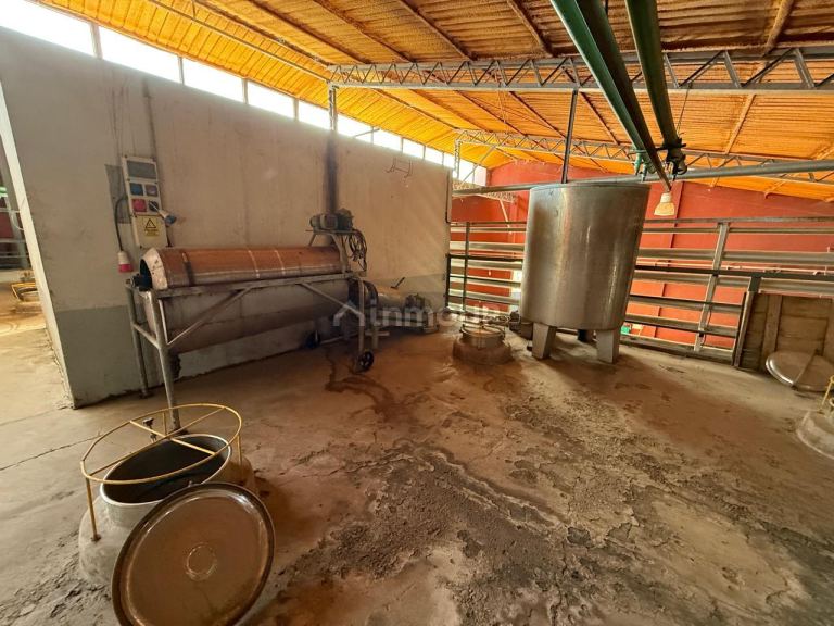 Bodega en Venta en San Martin, Mendoza