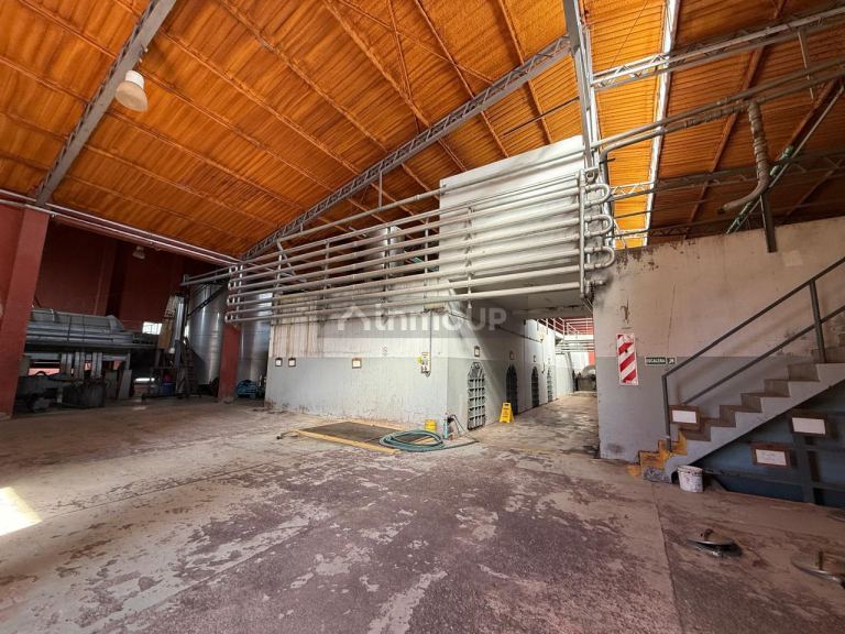 Bodega en Venta en San Martin, Mendoza