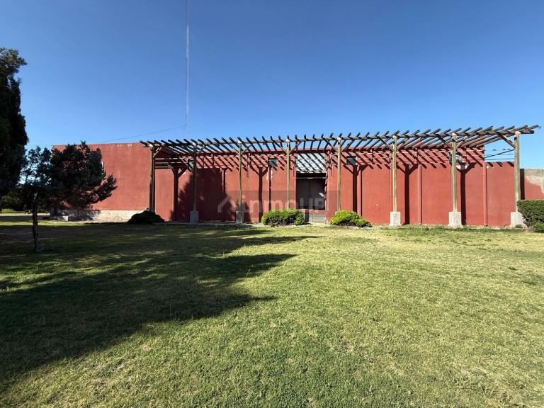 Bodega en Venta en San Martin, Mendoza
