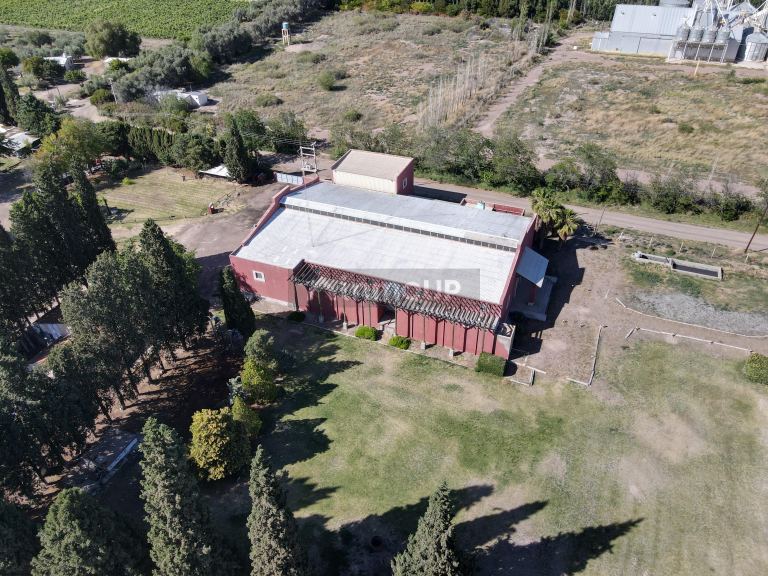Bodega en Venta en San Martin, Mendoza