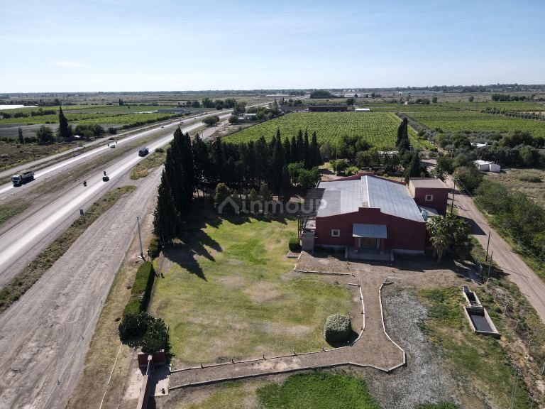 Bodega en Venta en San Martin, Mendoza