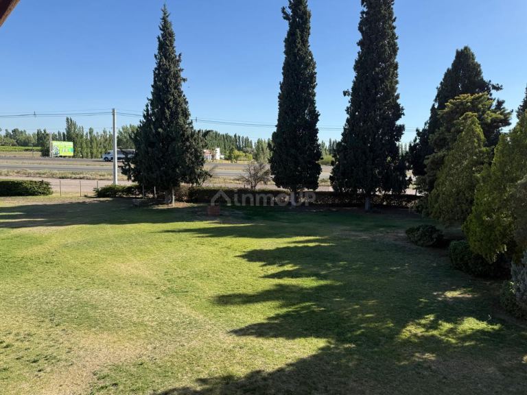 Bodega en Venta en San Martin, Mendoza