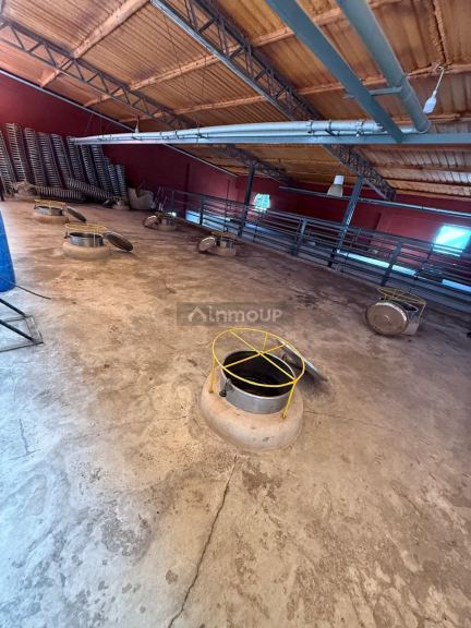 Bodega en Venta en San Martin, Mendoza