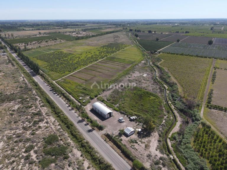 Finca en Venta en Junin, Mendoza