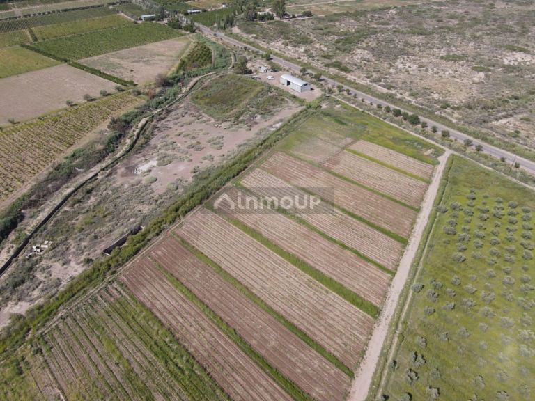 Finca en Venta en Junin, Mendoza