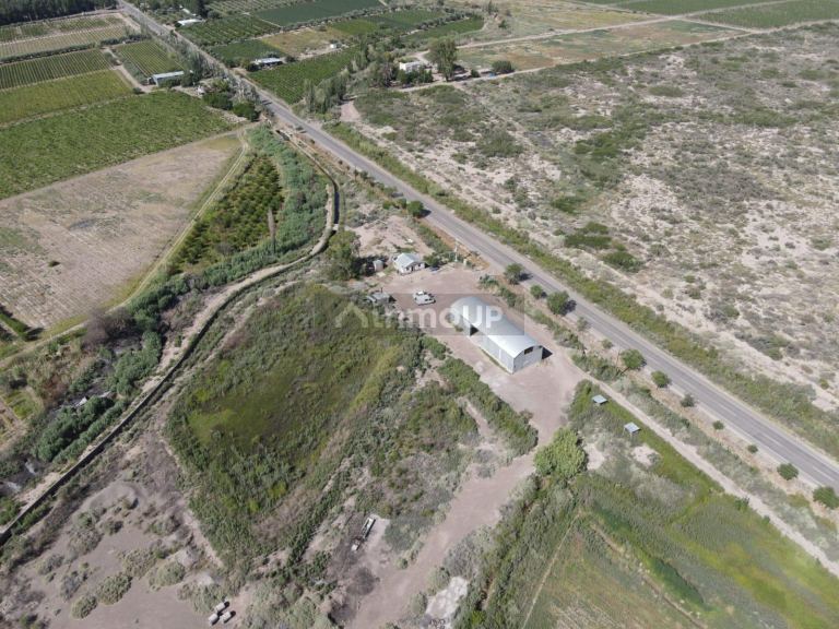 Finca en Venta en Junin, Mendoza