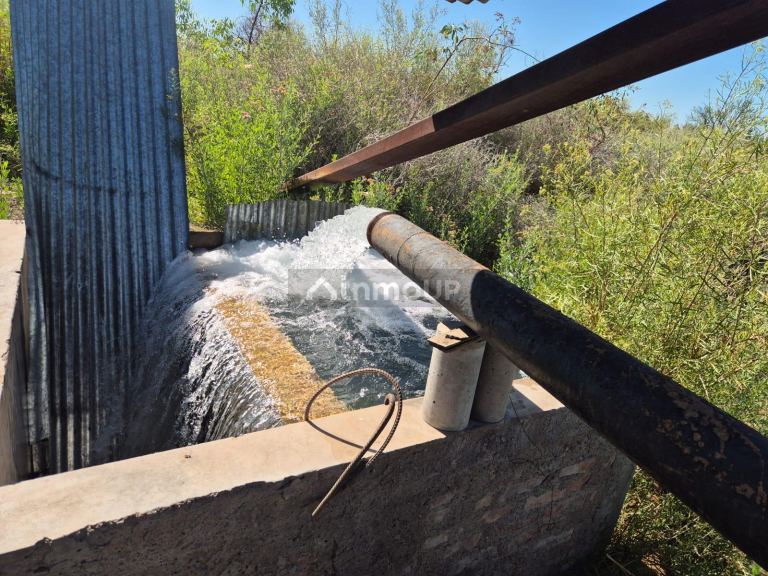 Finca en Venta en Junin, Mendoza