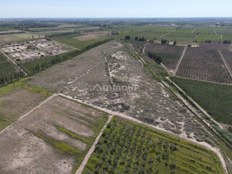 Finca en Venta en Junin, Mendoza