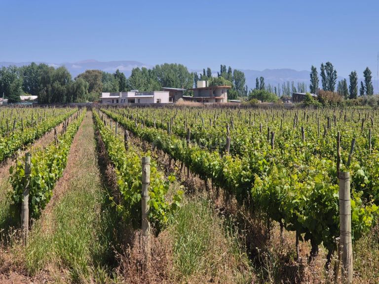 Terreno en Venta en Maipu, Mendoza