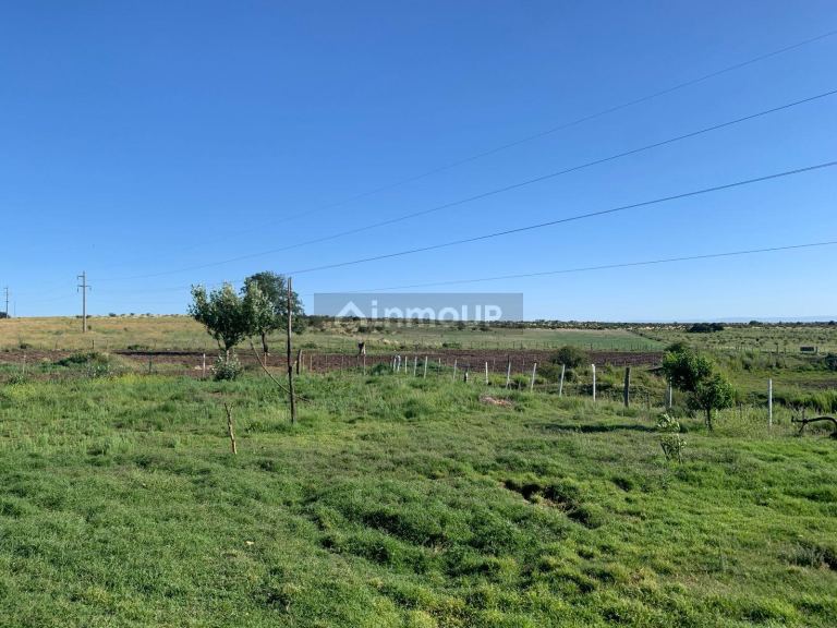 Campo en Venta en San Martin, San Luis