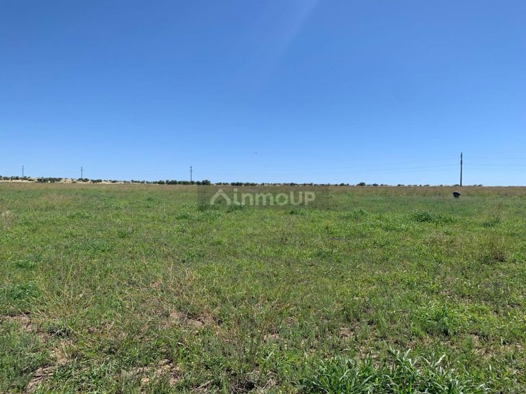 Campo en Venta en San Martin, San Luis