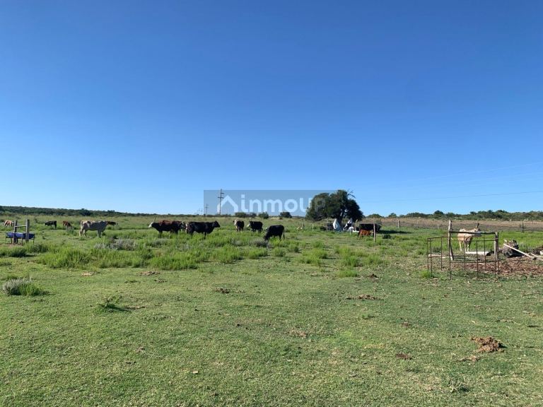 Campo en Venta en San Martin, San Luis