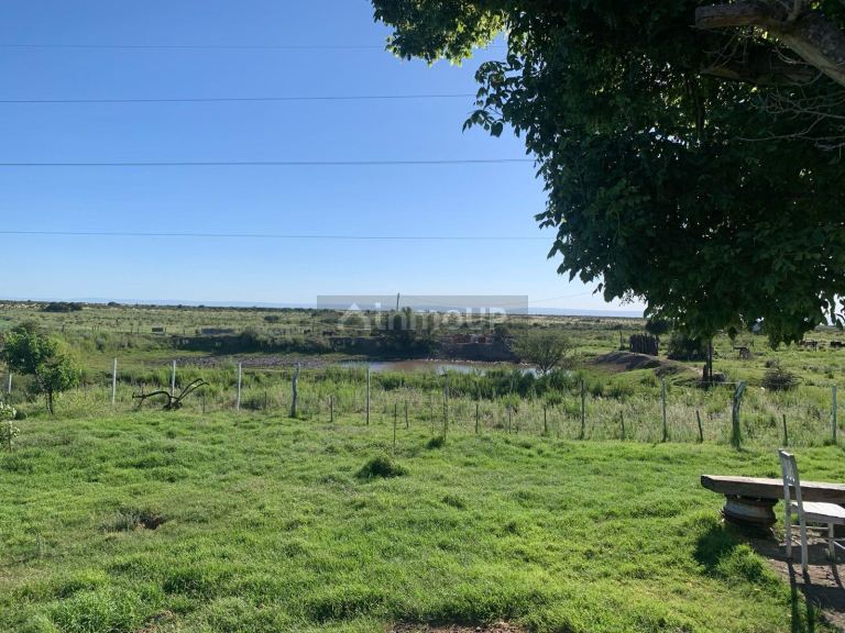 Campo en Venta en San Martin, San Luis