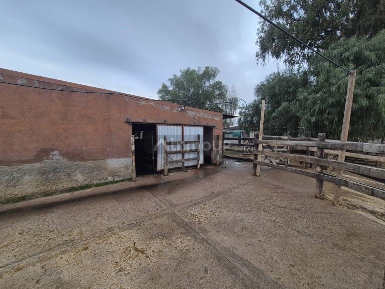 Finca en Venta en Las Heras, Mendoza