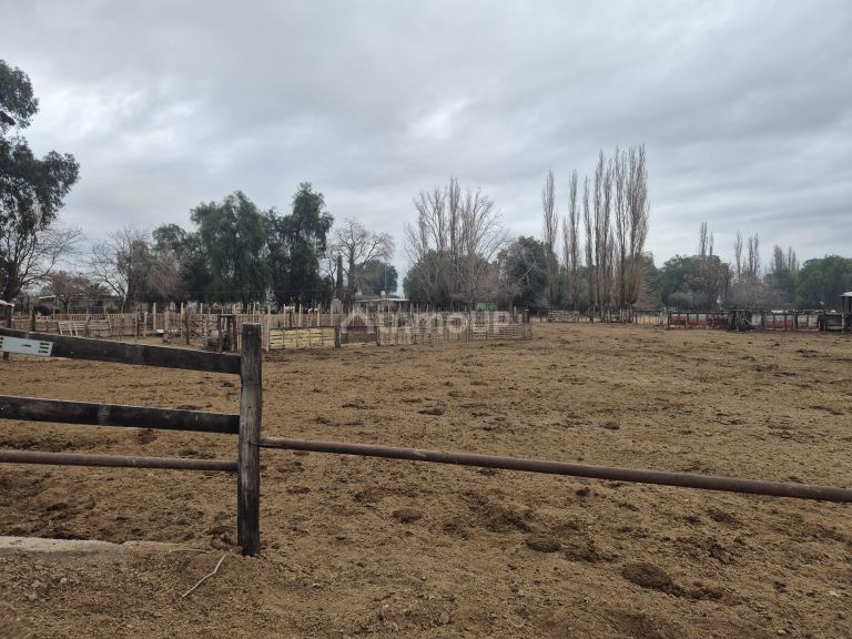 Finca en Venta en Las Heras, Mendoza