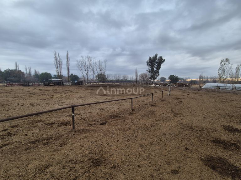 Finca en Venta en Las Heras, Mendoza