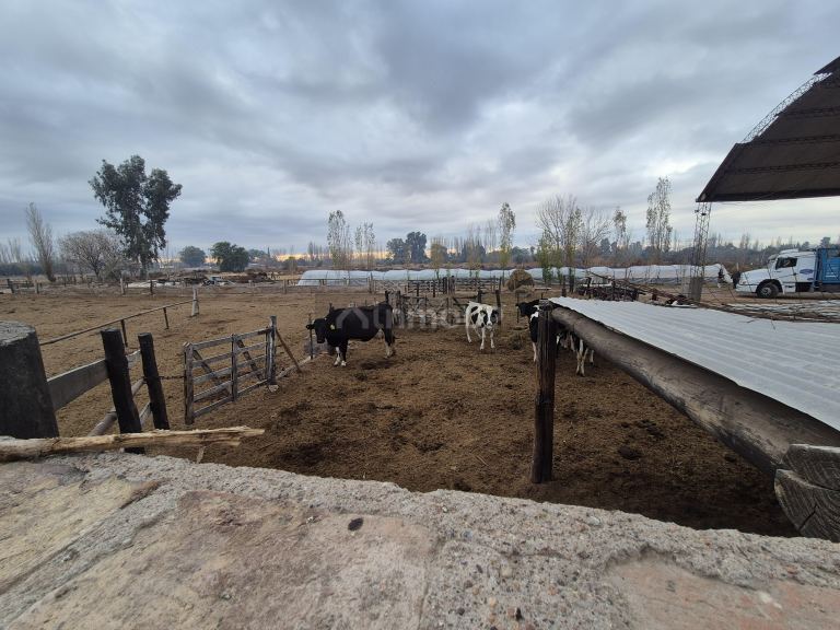 Finca en Venta en Las Heras, Mendoza
