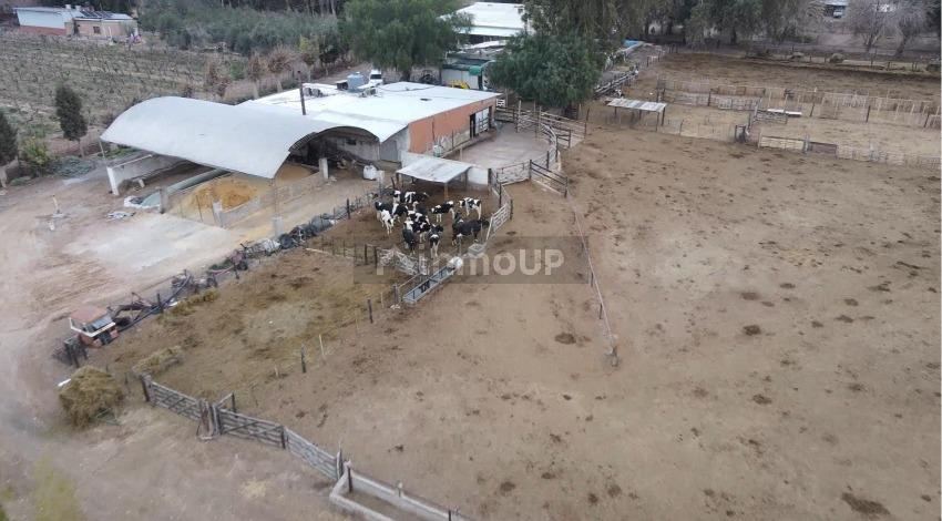 Finca en Venta en Las Heras, Mendoza