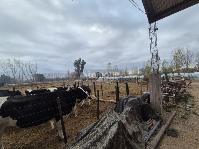 Finca en Venta en Las Heras, Mendoza