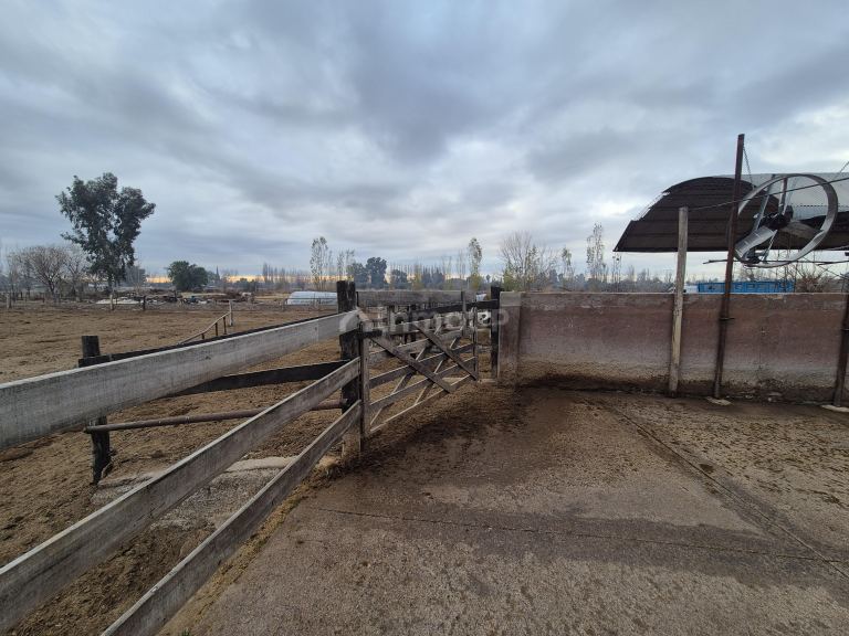 Finca en Venta en Las Heras, Mendoza