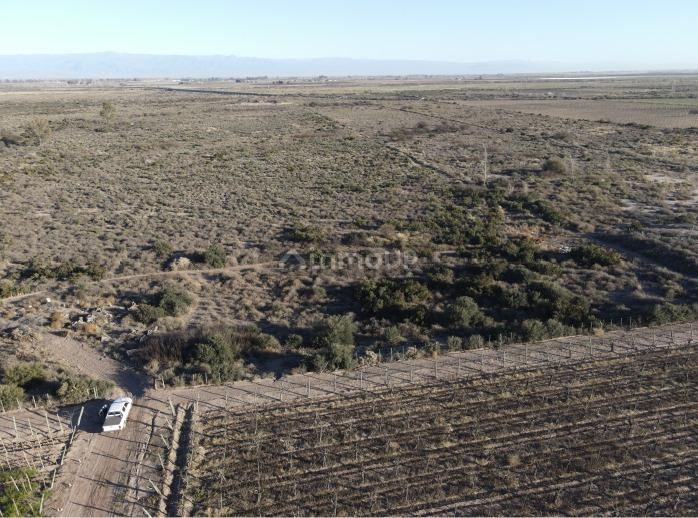 Finca en Venta en San Martin, Mendoza - USD 140.000 | Inmoup - 8