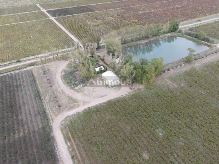 San Martin MONTECASEROS, SAN MARTÍN, MENDOZA
