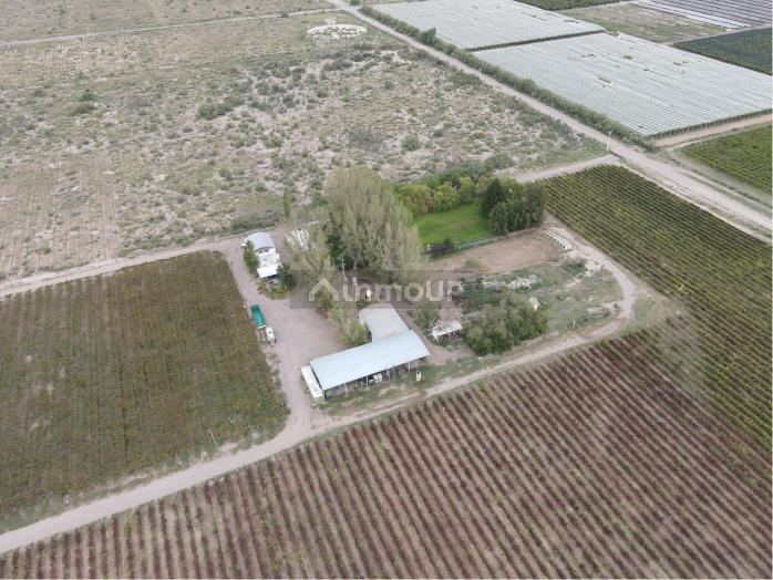 San Martin MONTECASEROS, SAN MARTÍN, MENDOZA