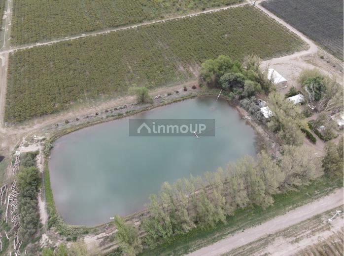 San Martin MONTECASEROS, SAN MARTÍN, MENDOZA