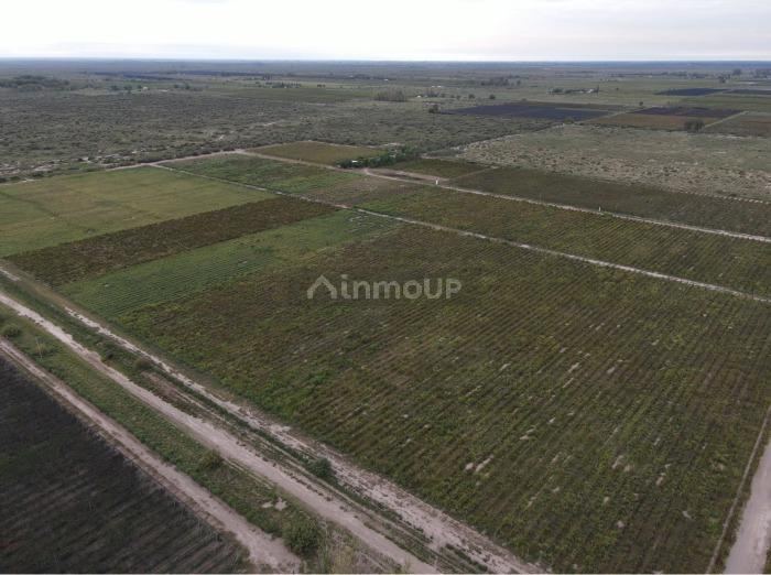 Finca en Venta en San Martin, Mendoza - USD 850.000 | Inmoup - 7