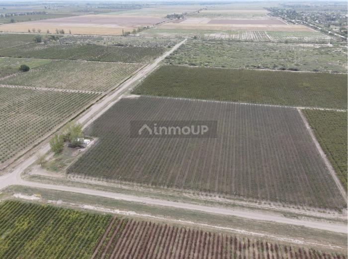 San Martin MONTECASEROS, SAN MARTÍN, MENDOZA