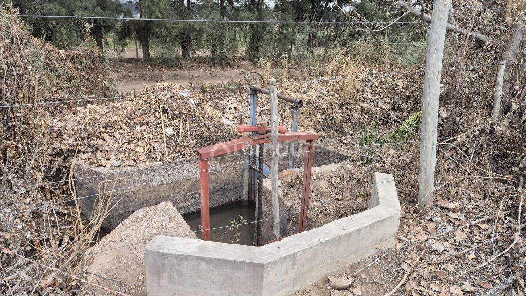 Finca en Venta en San Martin, Mendoza