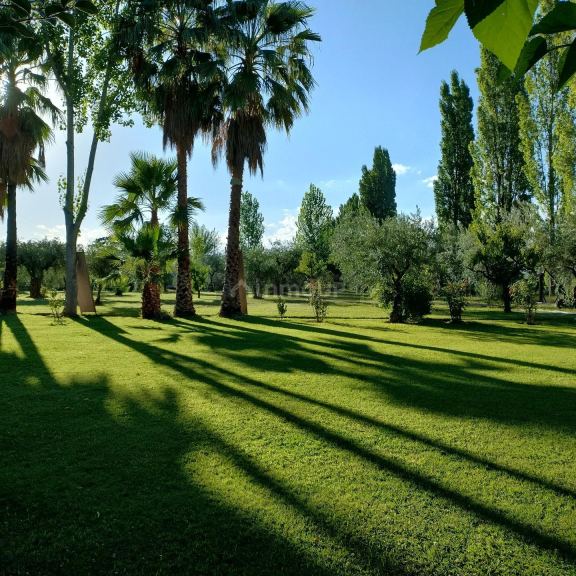 Casa Quinta en Venta en Maipu, Mendoza